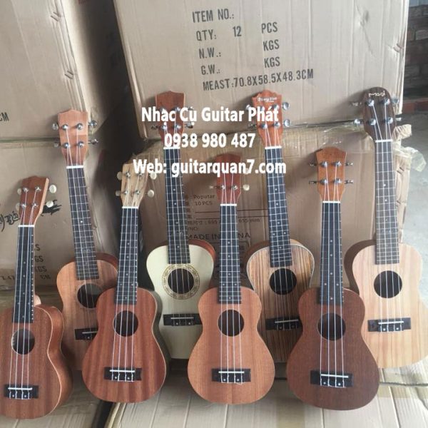 dan-ukulele-concert-gia-re-tai-quan-7-nha-be-tphcm (2)