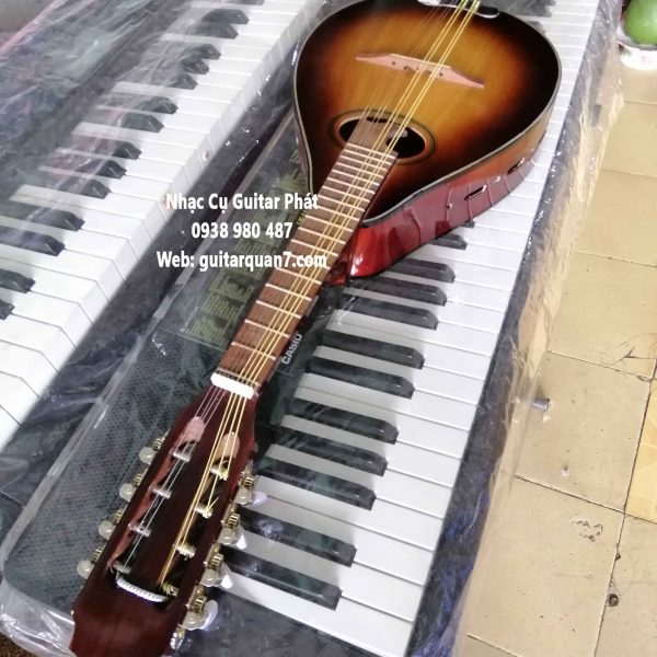 Mua đàn mandolin giá rẻ tại tphcm